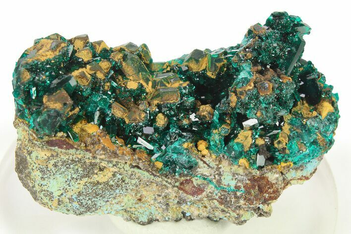 Lustrous Dioptase Crystal Cluster - Republic of the Congo #272952